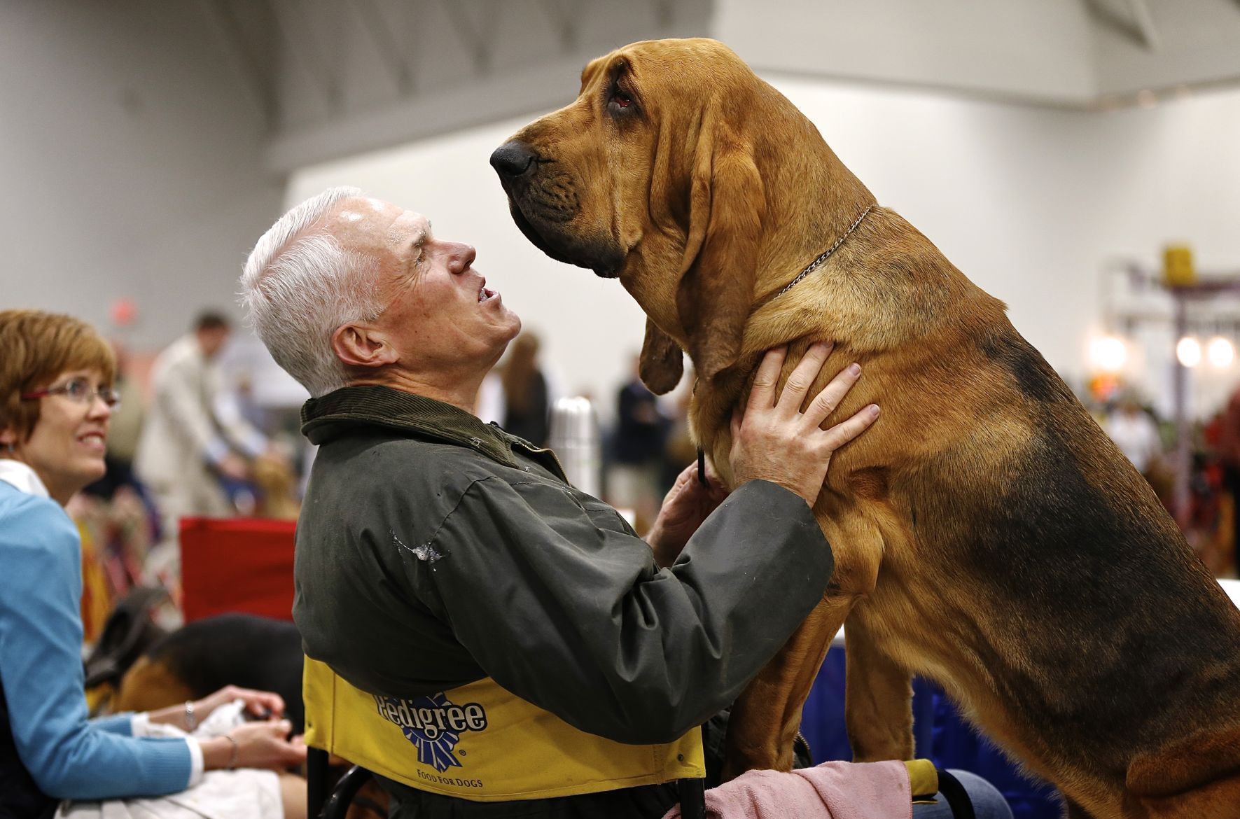 Dog show