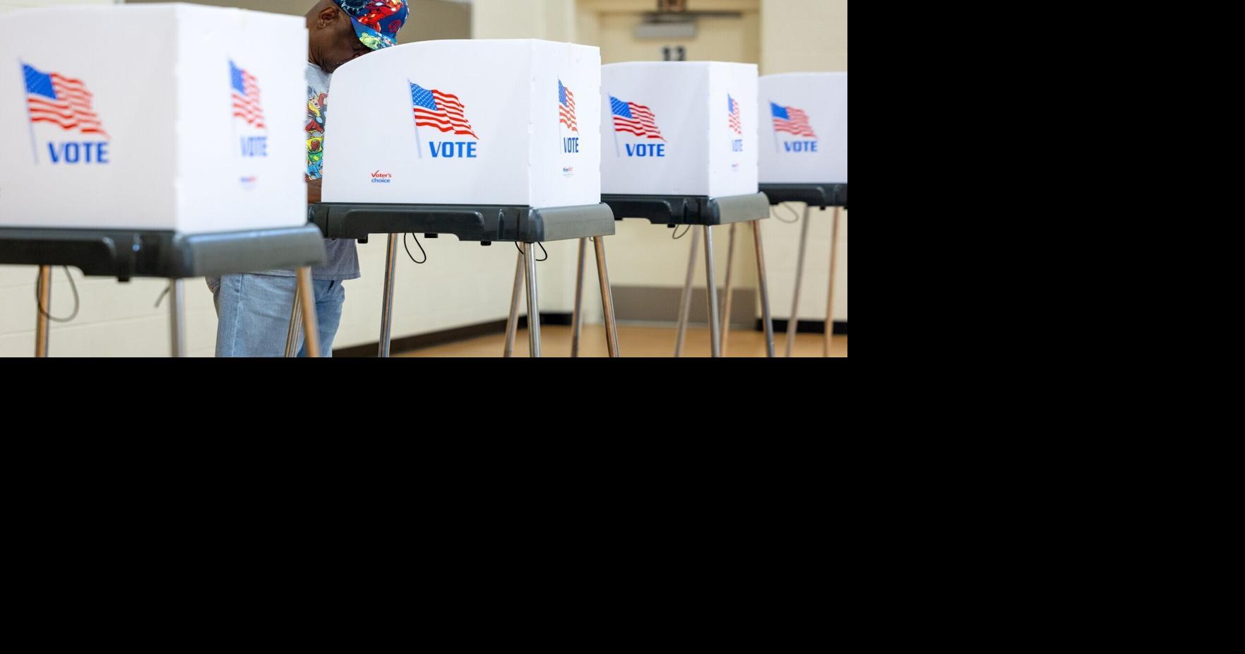 Primary turnout signals strong interest in November races, analysts say