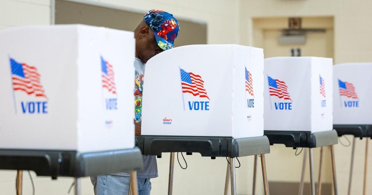 Primary turnout signals strong interest in November races, analysts say