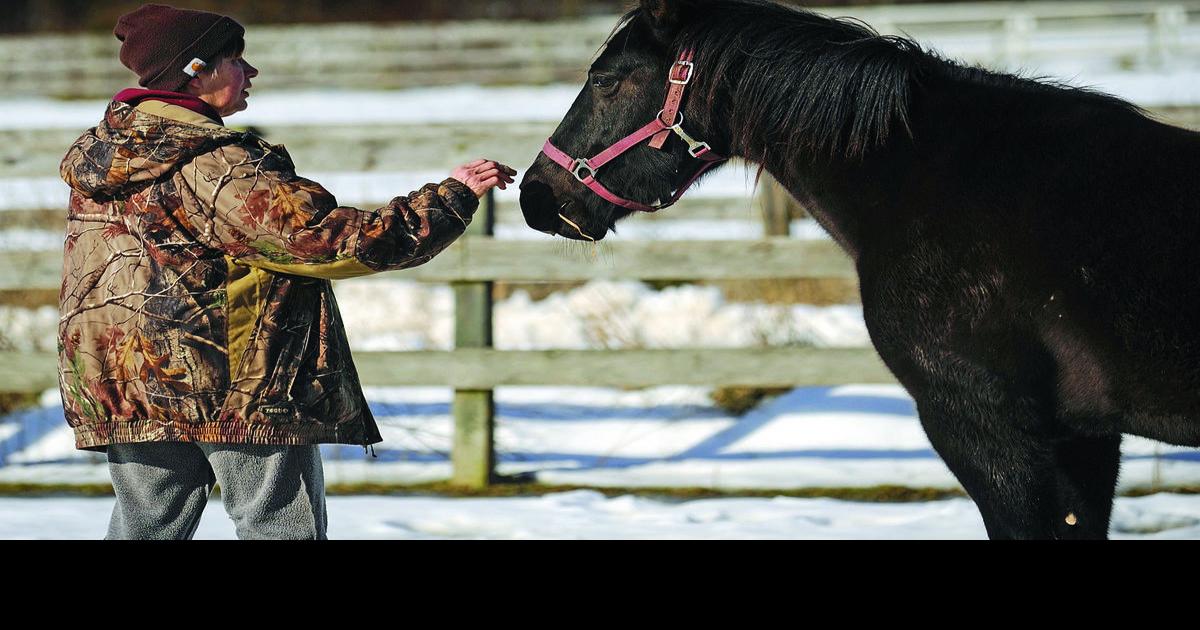 Spotsylvania farm rehabbing horses surrendered in animal cruelty case