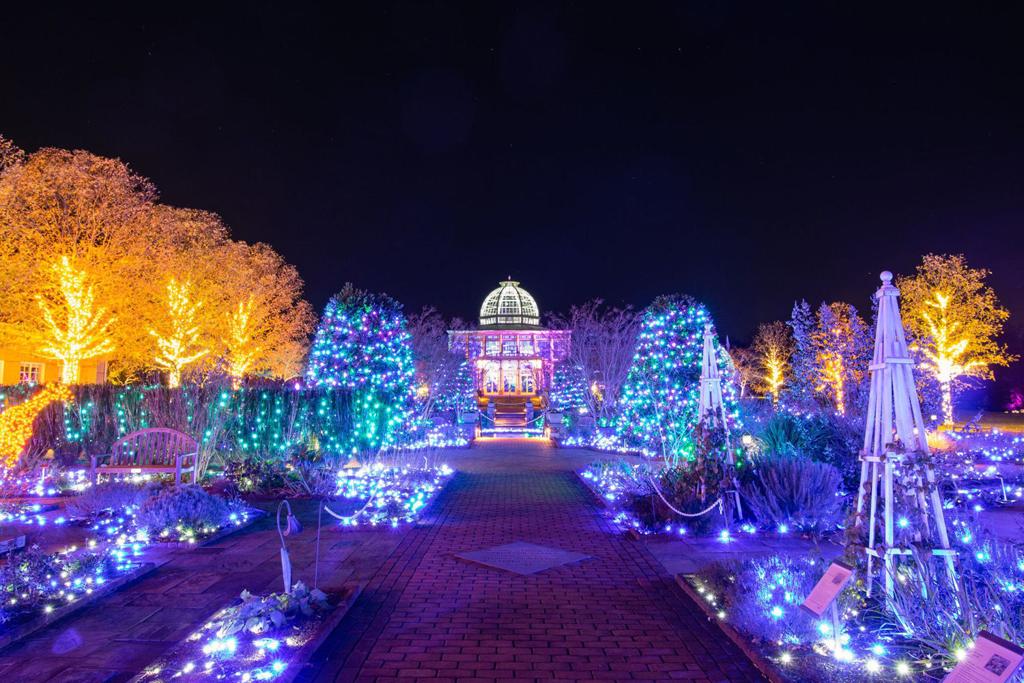 Meadow Event Park Christmas Lights 2021