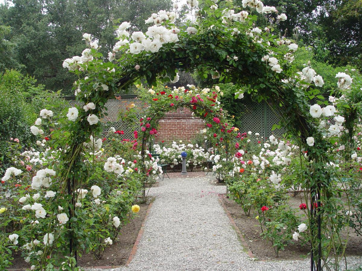 Yardsmart How To Create Your Own Rose Arbor Entry House And Home Fredericksburg Com
