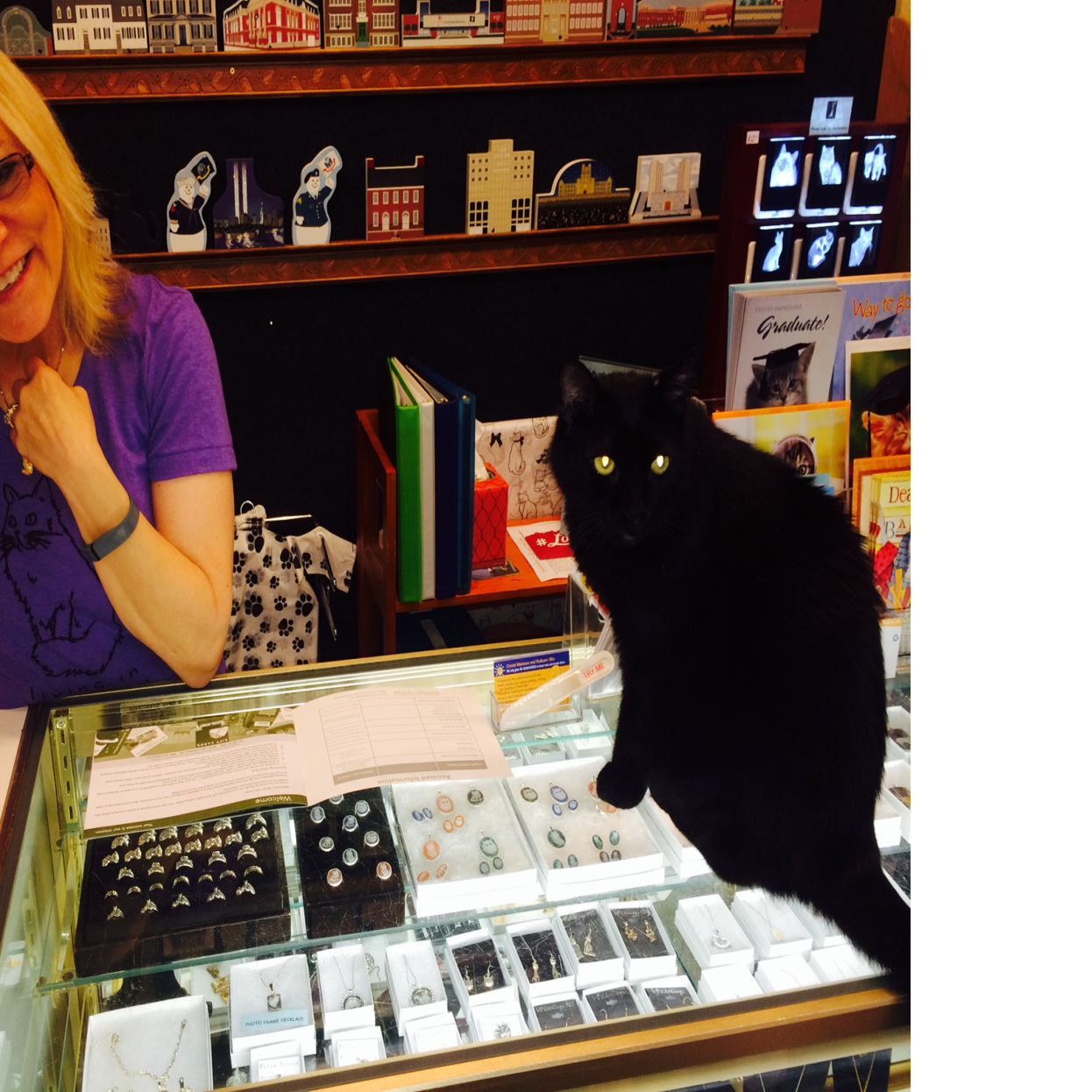 A Clowder And Cats And A Kindle Of Kittens Pounce On The