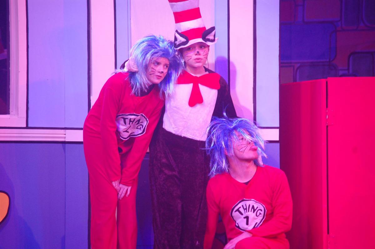 Riverside Children S Theatre Unleashes The Fun With Cat In The