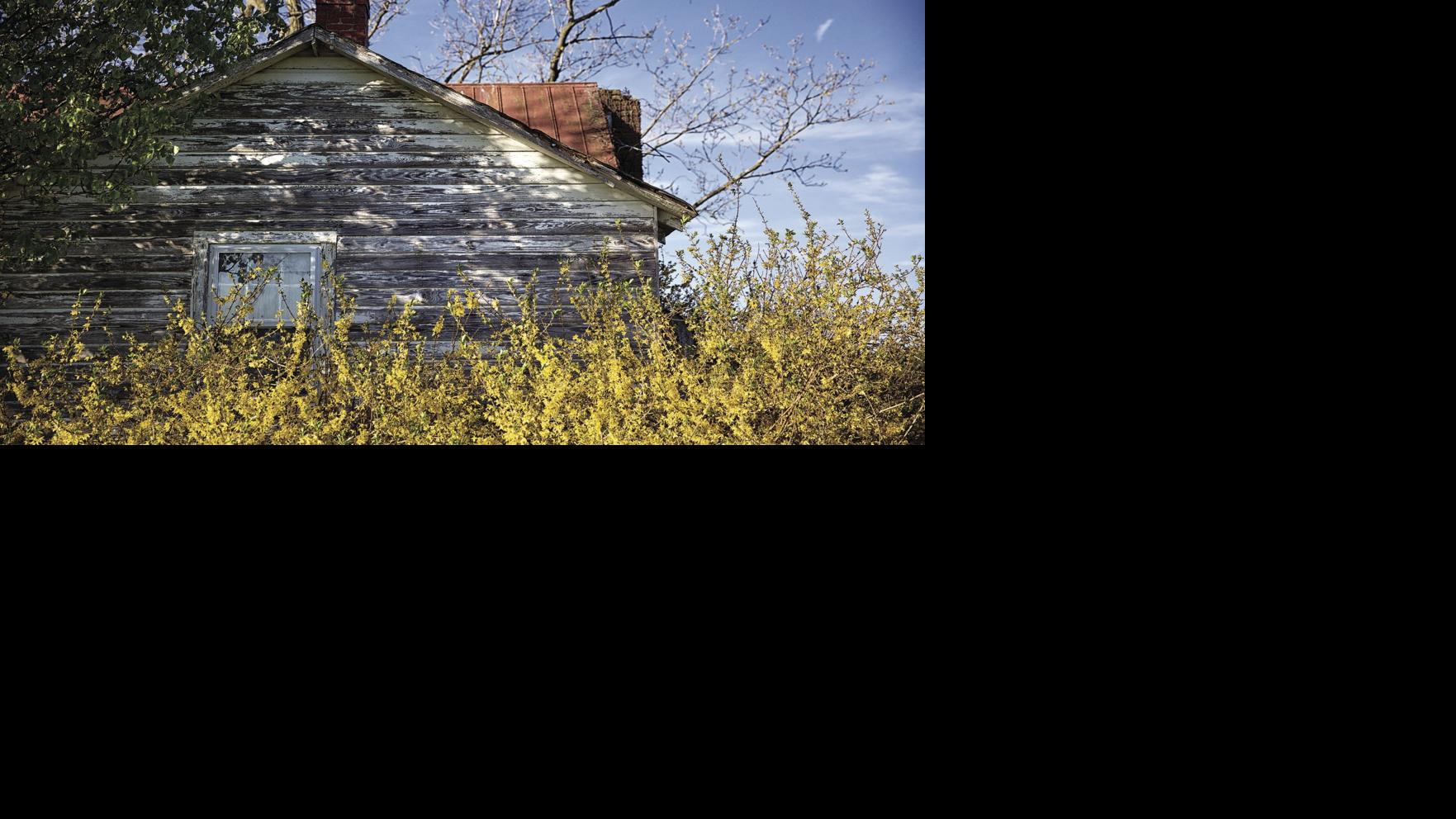 2017 Calendar Images | | fredericksburg.com