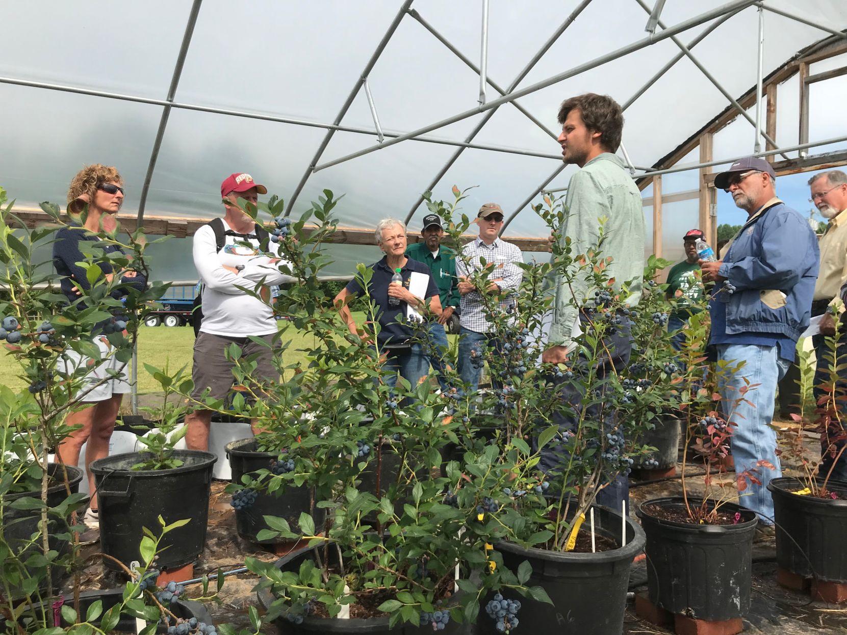 Small Scale Farming Is Focus Of Event At Culpeper S Carver Center Local News Fredericksburg Com Preventative and wholistic physician, surgeon & surgeon general. carver center