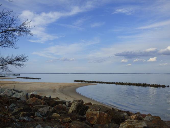 Colonial Beach's Osprey Festival takes flight online