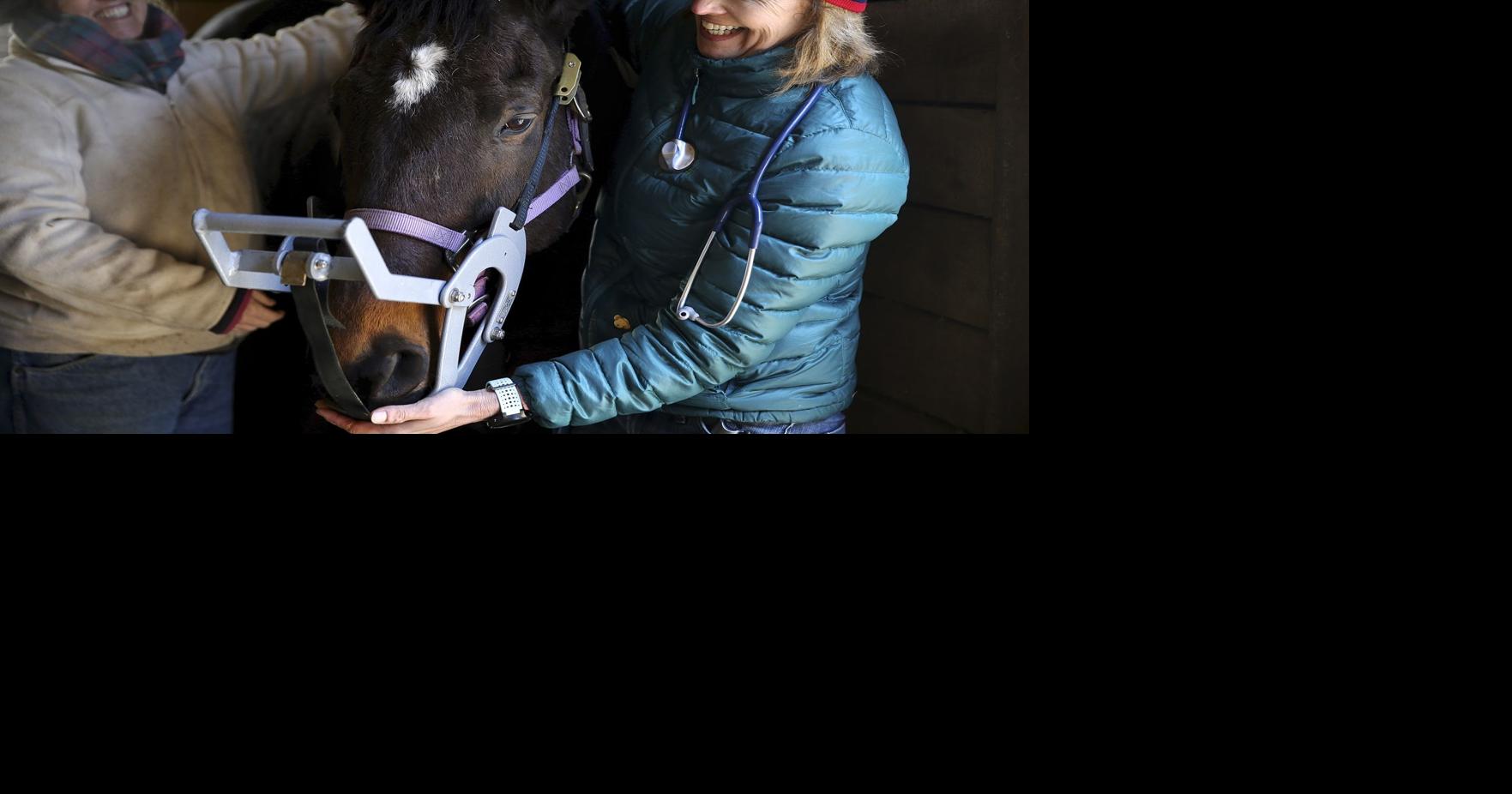 Fredericksburg vet known for her ability to 'look at the whole horse'