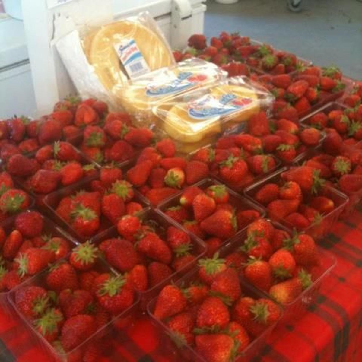Record Highs Bring Early Fruits Entertainment Fredericksburg Com Record Highs Bring Early Fruits Entertainment Fredericksburg Com