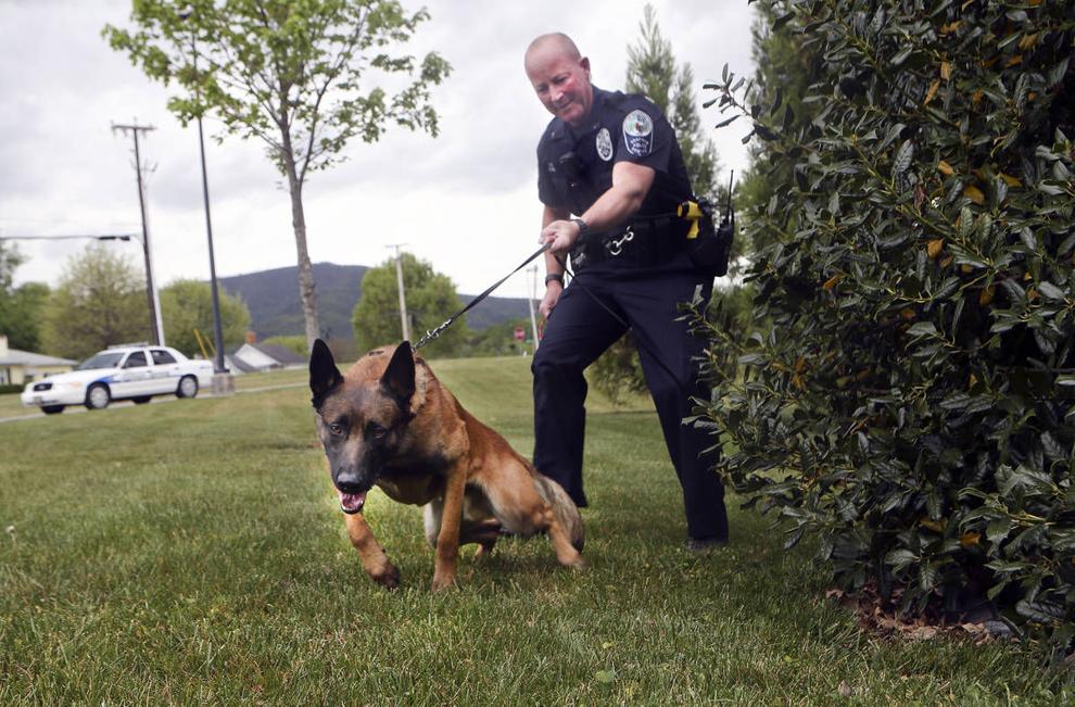 Throw Away Dogs Project gives canines new life as police dogs State