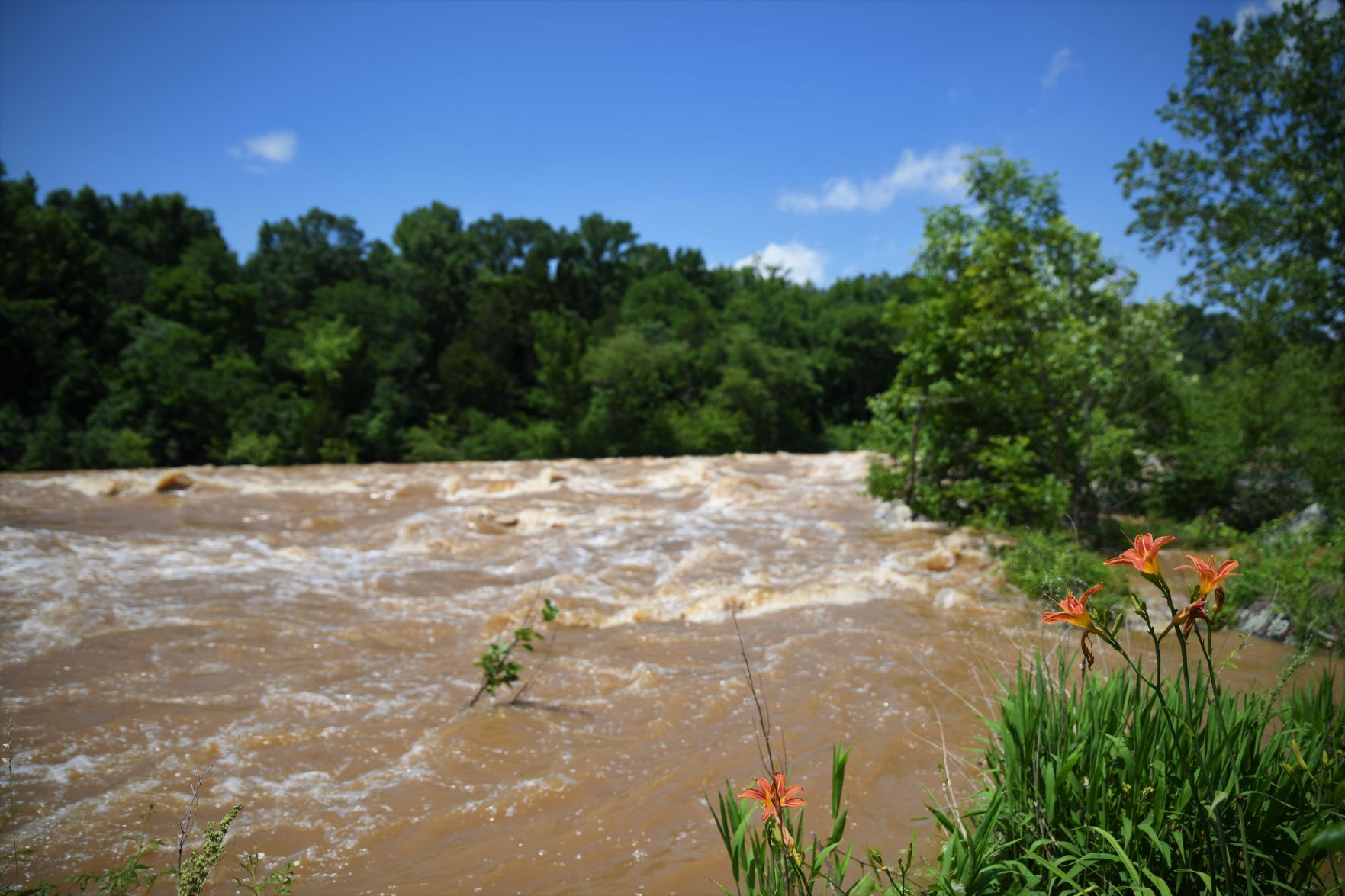 Flooding Closes Some Schools, Roads In Fredericksburg Region ...