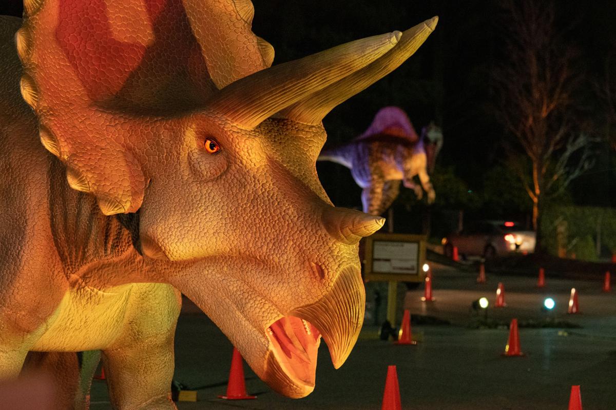Young Life Take A Dino Safari At The National Harbor Entertainment Fredericksburg Com