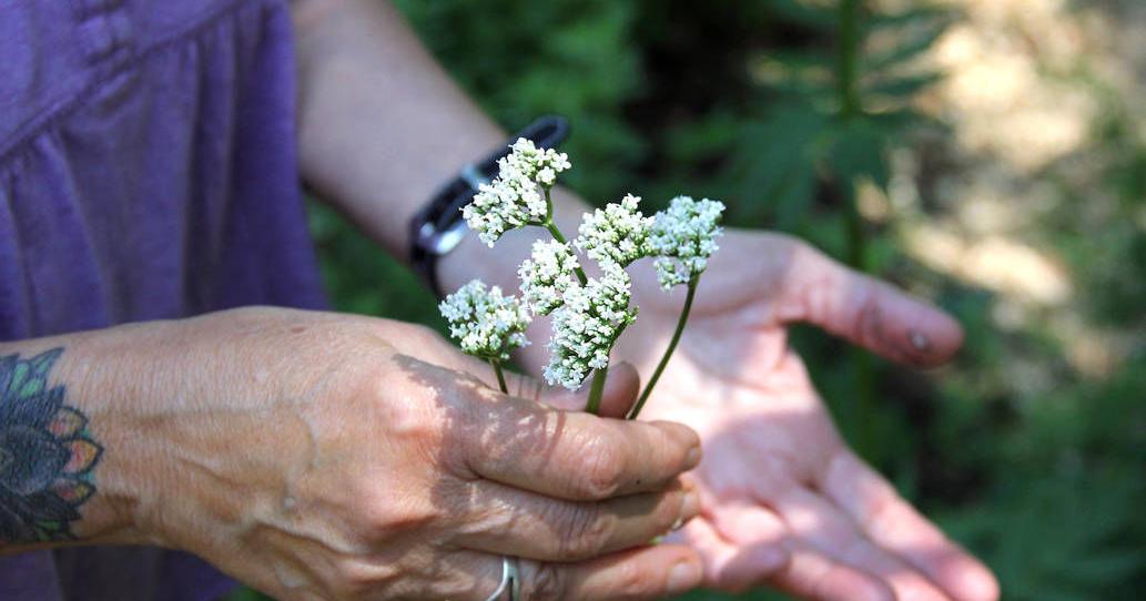 Herbalist Suki Roth takes healing back to the garden
