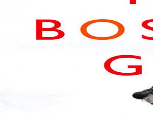 Book Review The Boston Girl Arts Fredericksburg Com