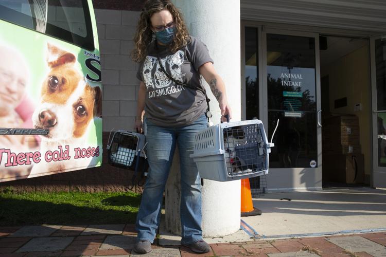 Fredericksburg SPCA takes in animals evacuated from hurricane's path