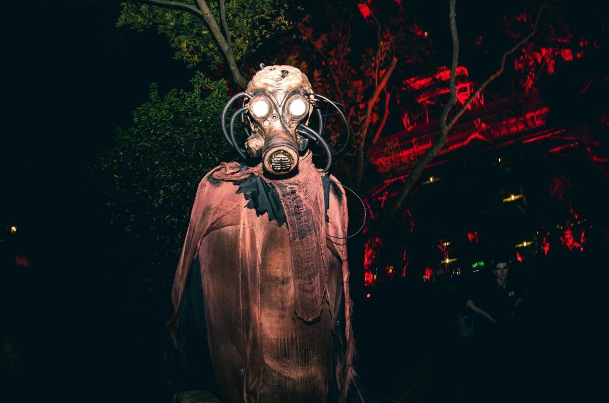 Area Theme Parks Are Scaring Up Some Halloween Fun All Monthlong Entertainment Fredericksburg Com