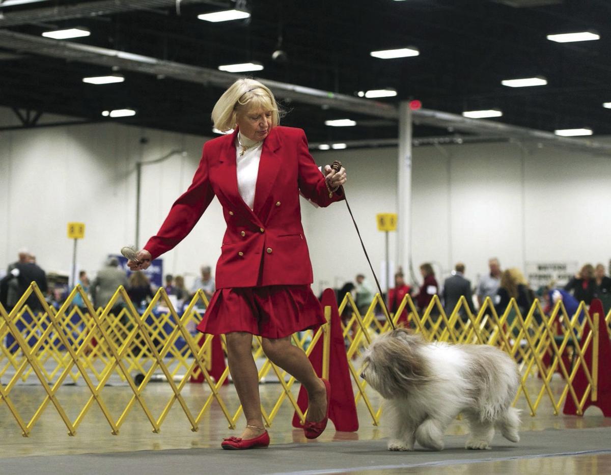 Canines strut their stuff at Celebrate Virginia Cluster Dog Show