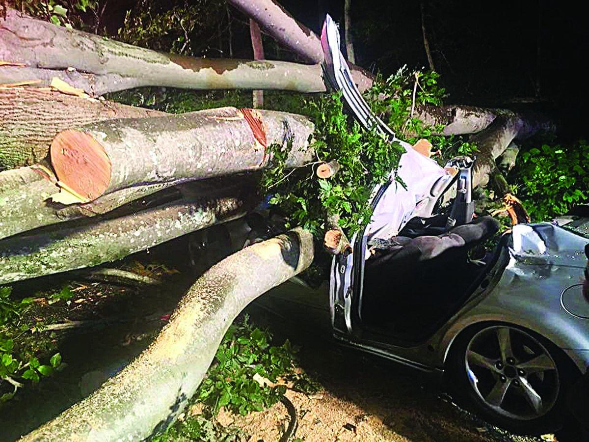 Tree Falls On Car Shattering Lives Of Local Couple