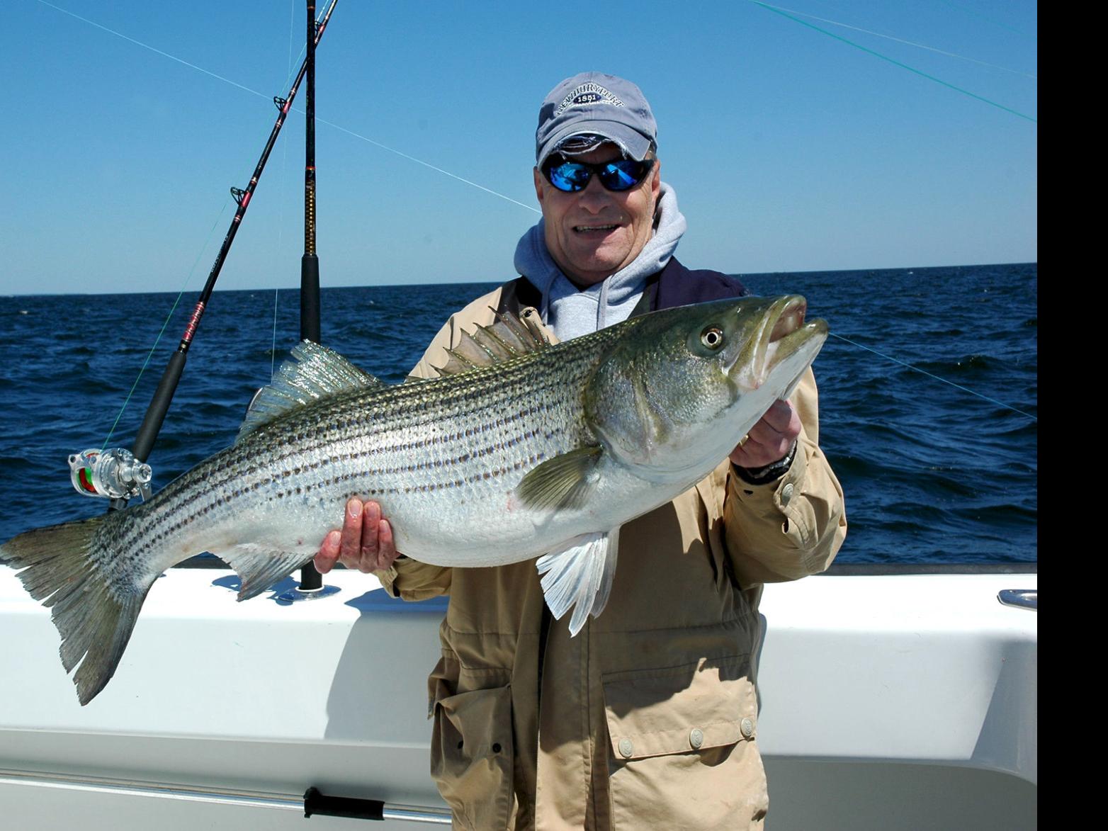 Overfishing Assessment May Lead Virginia To Ban Recreational Fishing For Striped Bass State Region Fredericksburg Com
