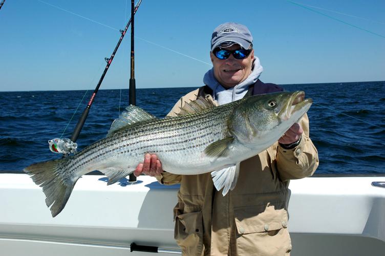 Overfishing assessment may lead Virginia to ban recreational fishing for  striped bass