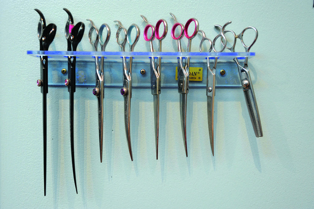 Fredericksburg dog groomer moves to larger space downtown Business