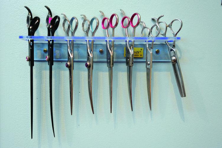 Fredericksburg dog groomer moves to larger space downtown