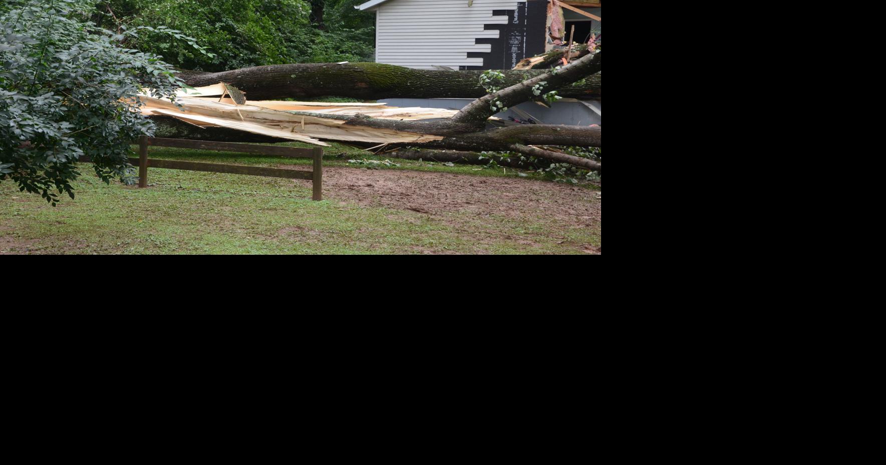 Authorities ID 10yearold Warrenton girl killed in tree accident