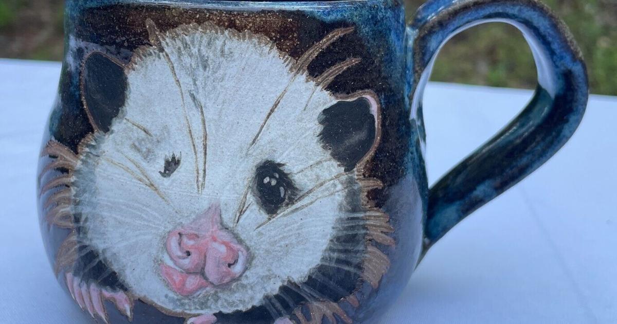 Wildlife Center of Virginia online auction includes art by animal patients