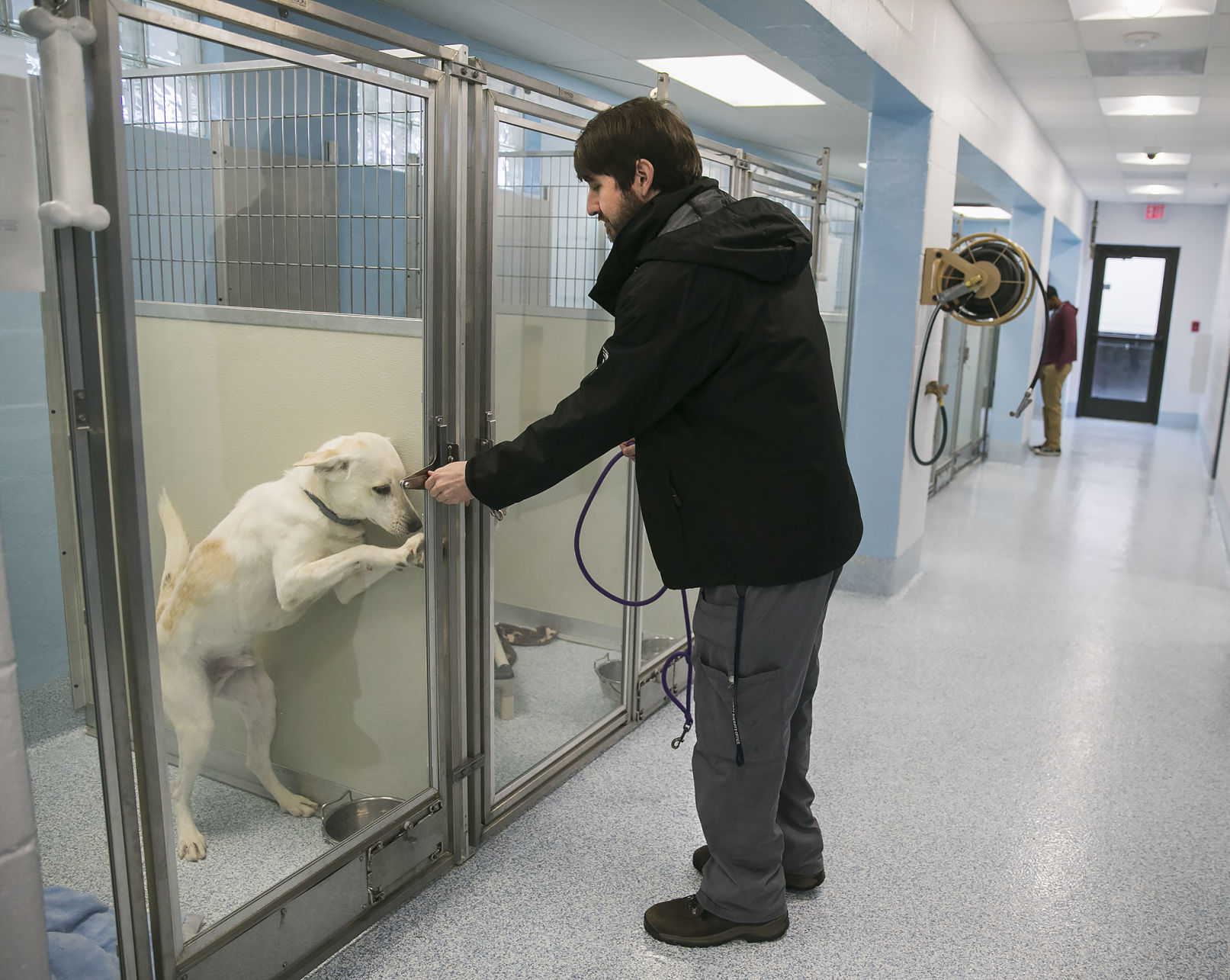 animal outreach