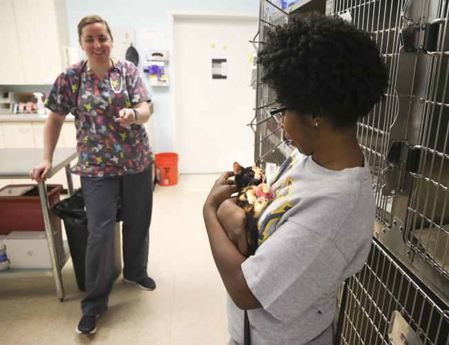 Saint Seton's Orphaned Animals helps low-income families get vet care for  pets