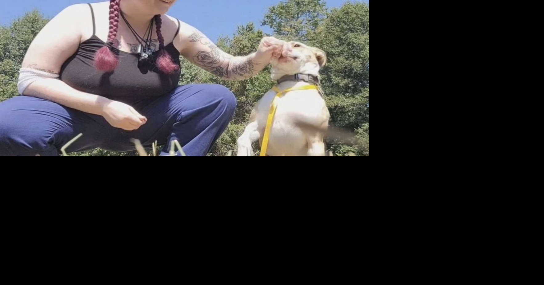 Central Virginia dog trainer convicted after returning dog covered in sores, feces