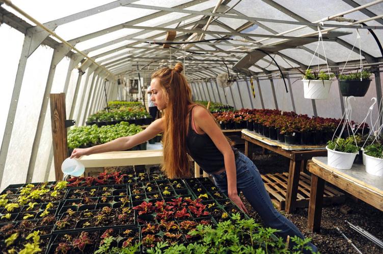Activities in Massaponax's FFA chapter look like Old MacDonald's farm