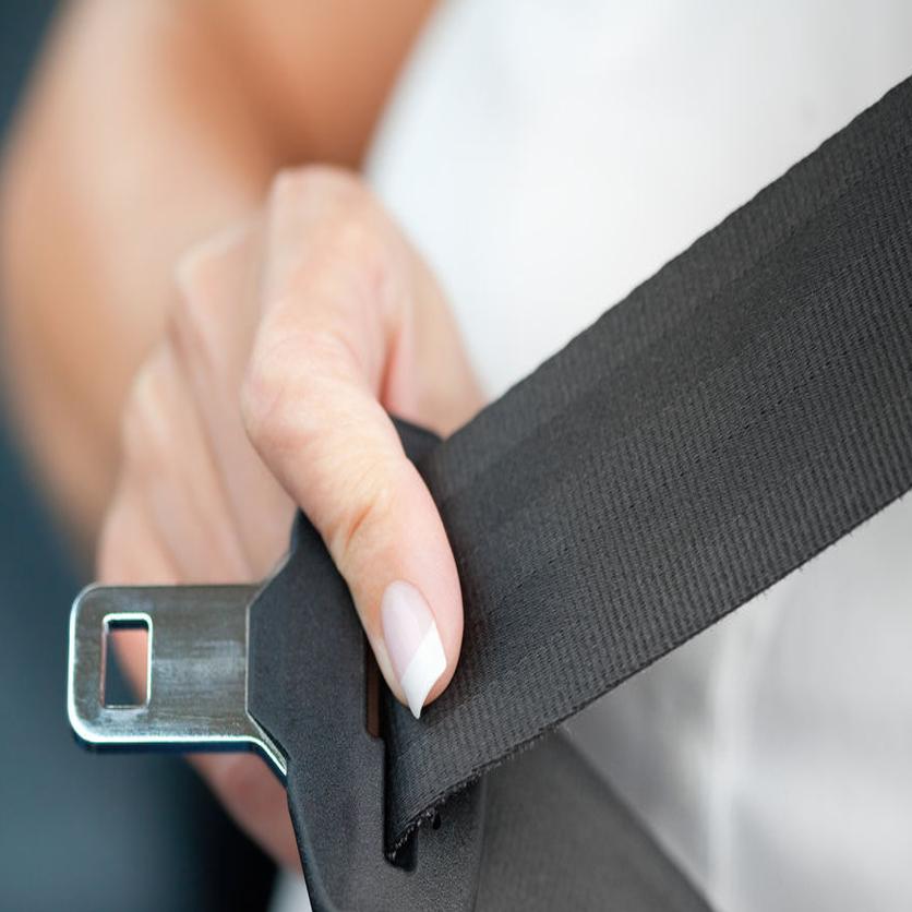 Va Seatbelt Law Backseat Awesome Home