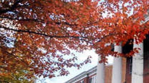 Moncure House Sold At Auction Business News Fredericksburg Com