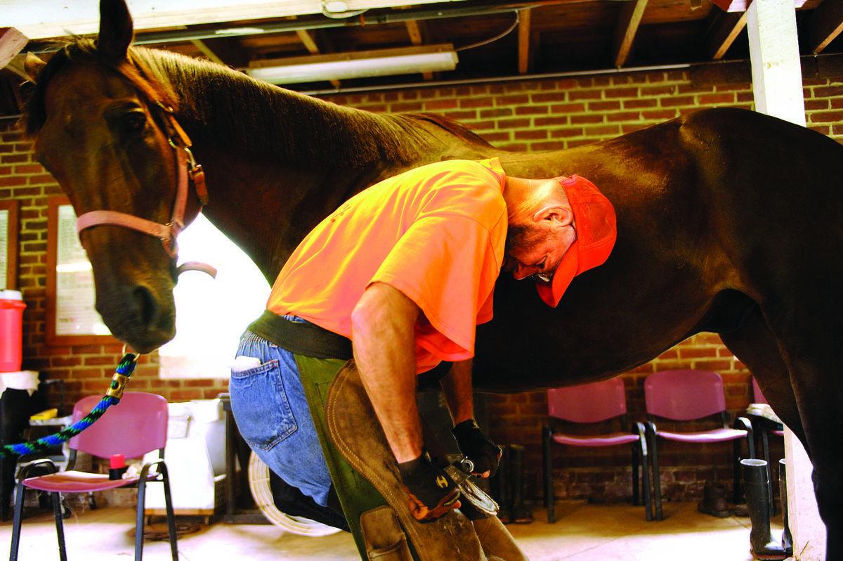 At James River Work Center, inmates work with rescued horses, including