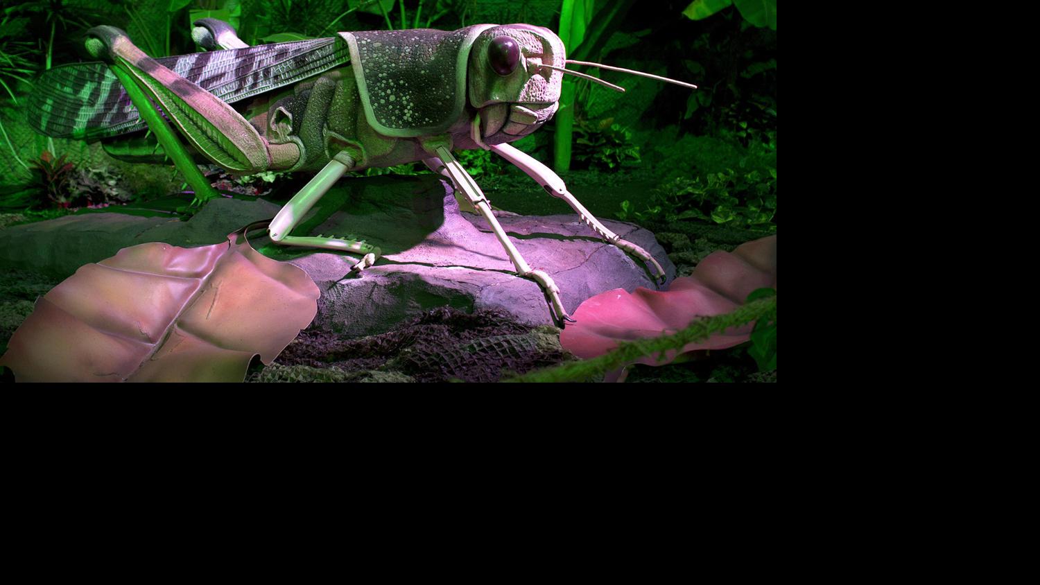 'Giant Insects' exhibit lands at the Science Museum of Virginia