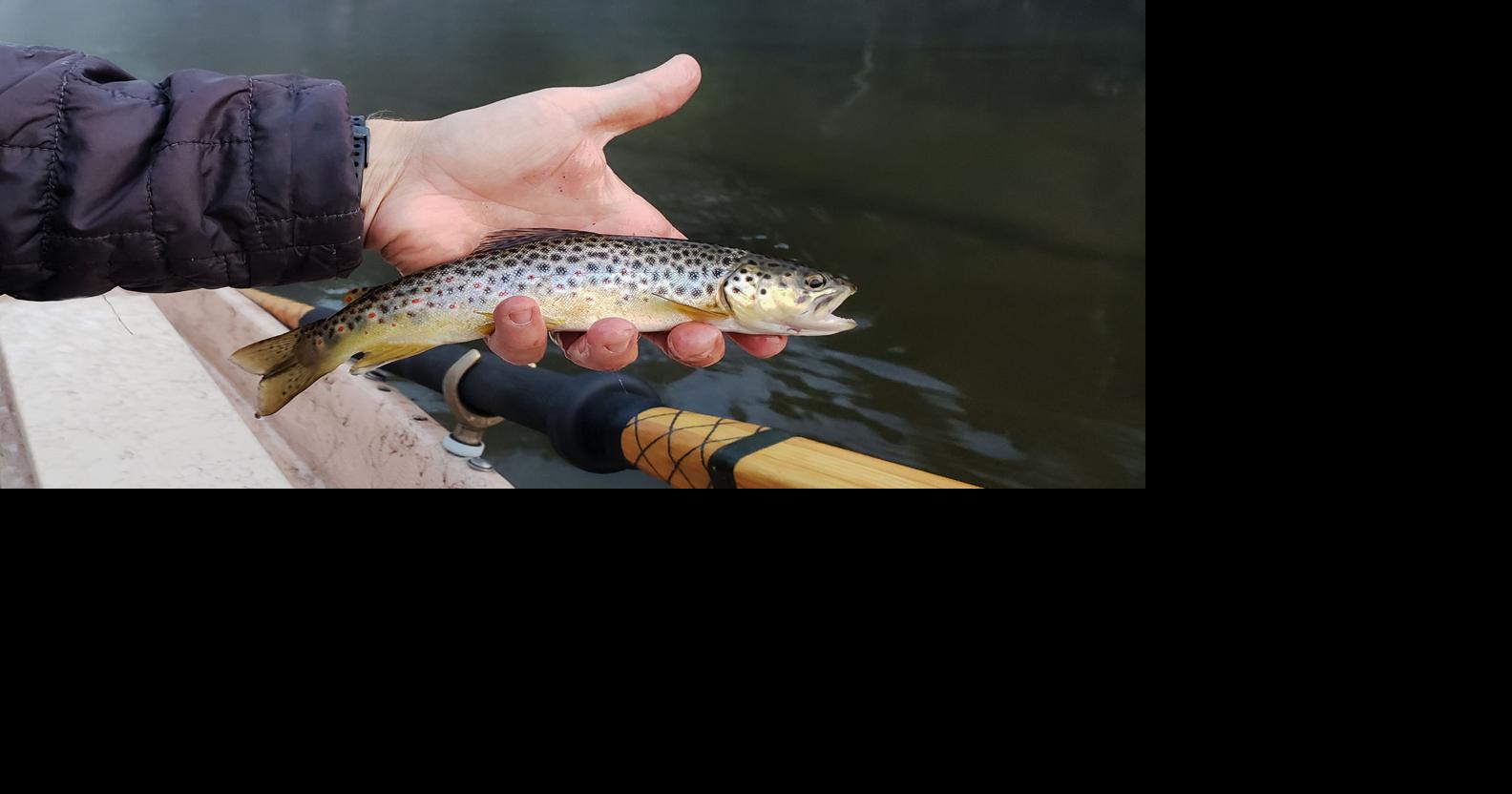 KEN PERROTTE Michigan flyfishing is a relaxing exercise