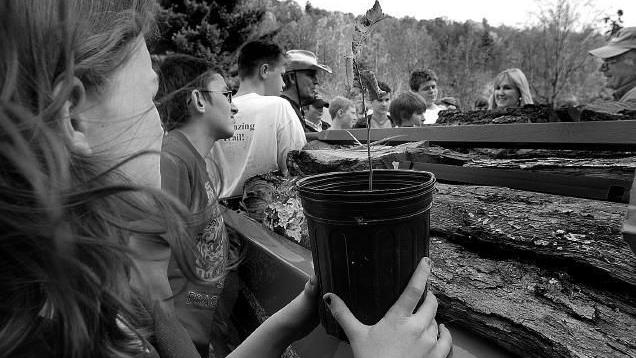 Places To Pick Your Own Trees Fredericksburg Com