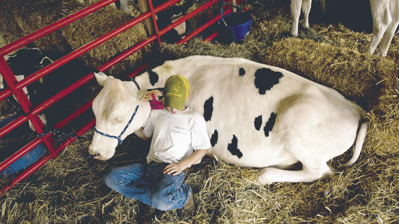 Orange County Fair Getting New Date New Features Local News Fredericksburg Com