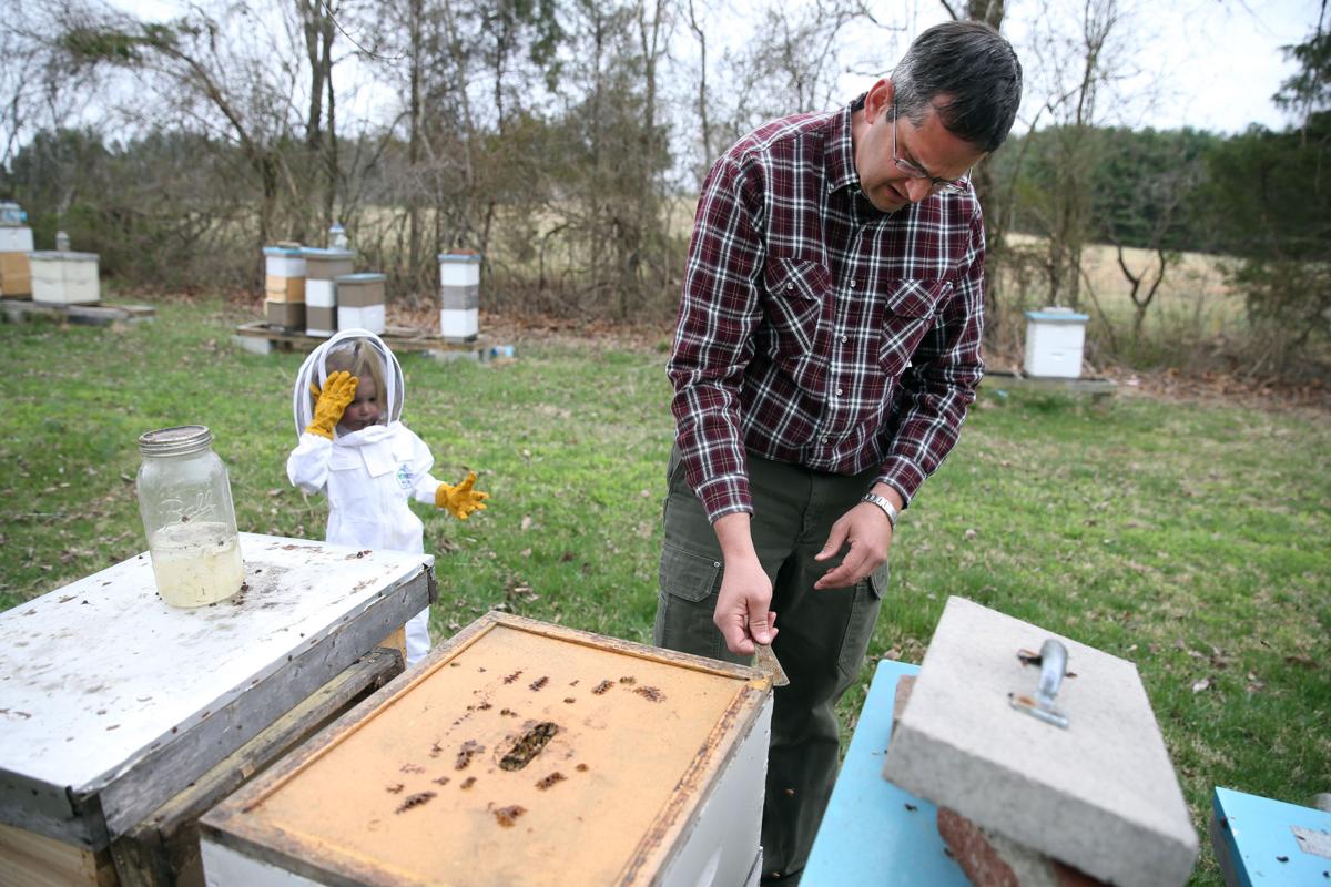 The Buzz Is Bad About Bees In Virginia Local Business The Buzz Is Bad About Bees In Virginia Local Business