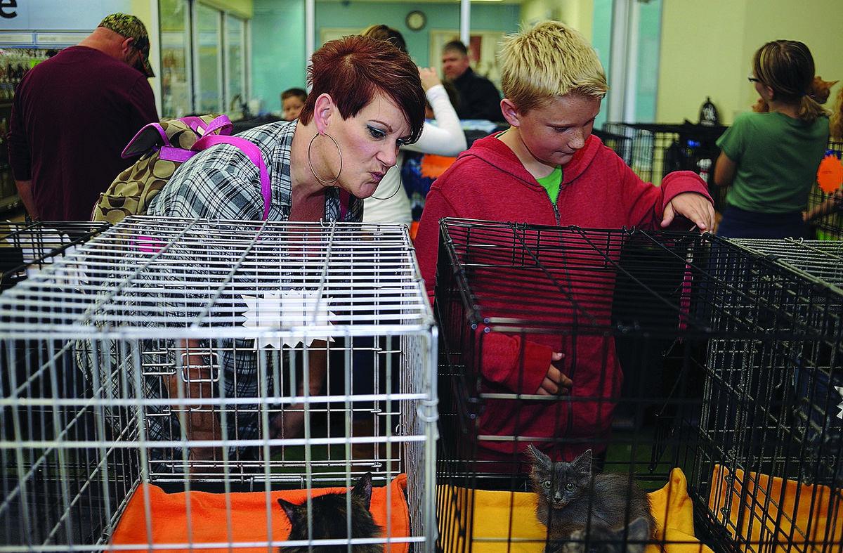 Hedelt Column Pet Adoption Groups Help Dogs Cats Find New Homes In Fredericksburg Area Local News Fredericksburg Com
