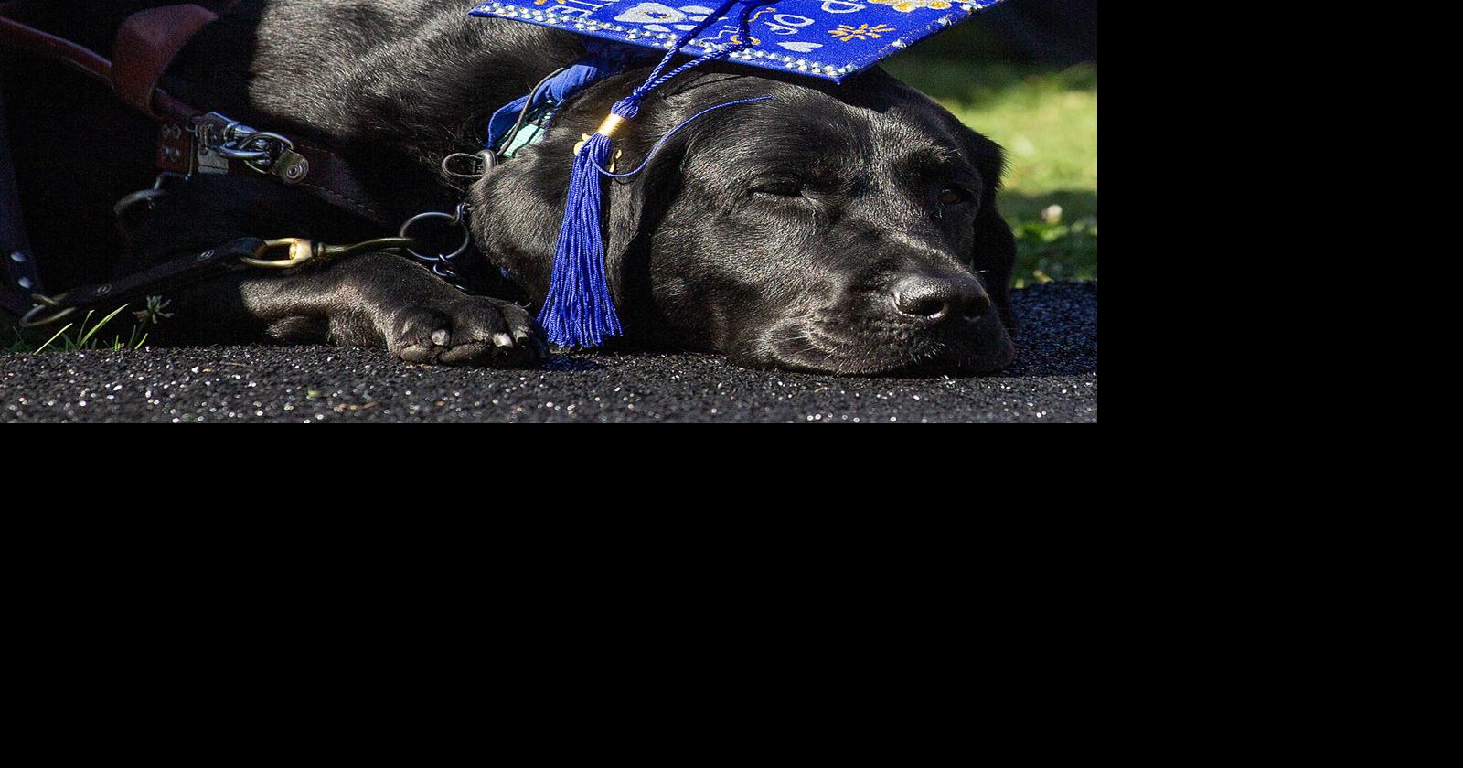 UMW's 114th Commencement Class of 2025