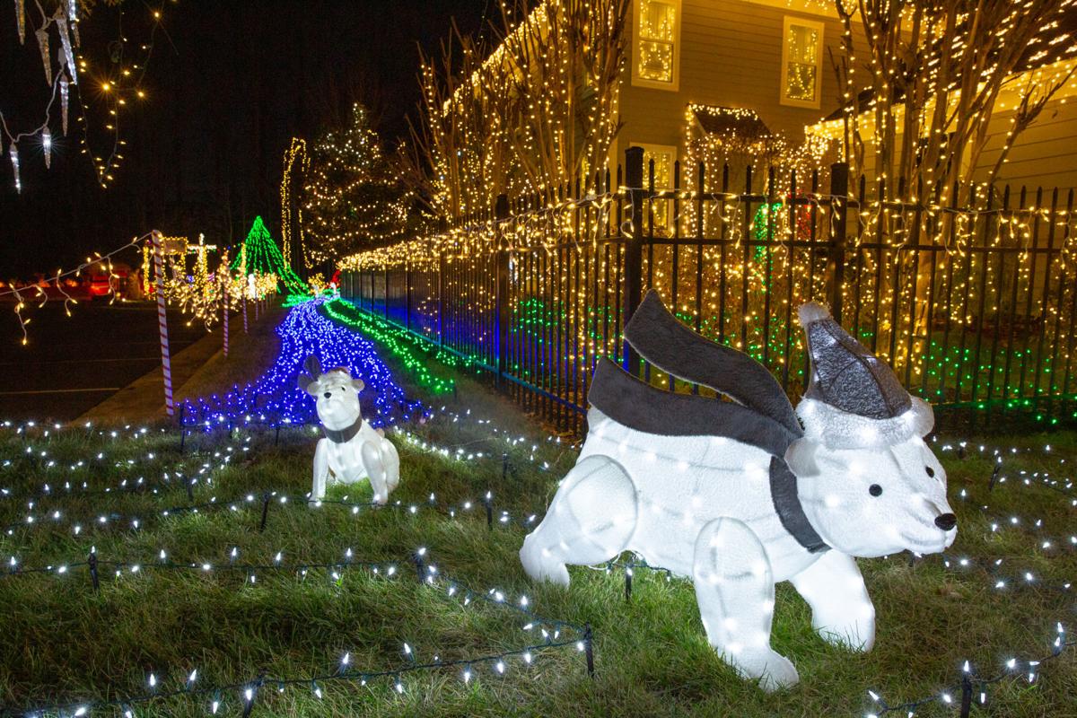 City family's brightlight display in Idlewild is this year's 'Grand