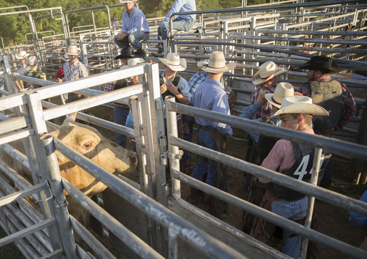 PHOTOS Rodeo returns to Gordonsville