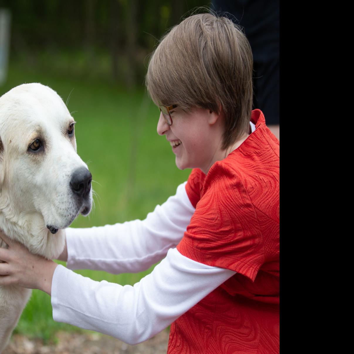 Adoptions Are Up For Fredericksburg Area Animal Shelters Local