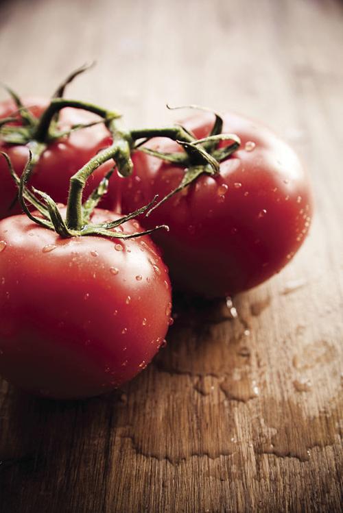 Tomato