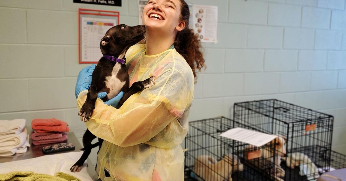 Fredericksburg SPCA brings in rescued animals from Florida and Puerto Rico