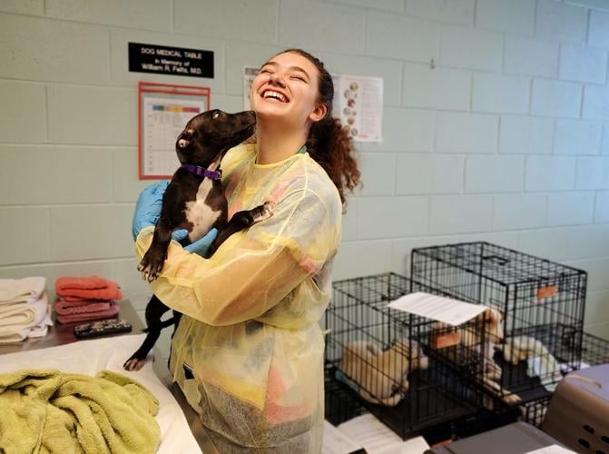 Fredericksburg SPCA brings in rescued animals from Florida and Puerto Rico