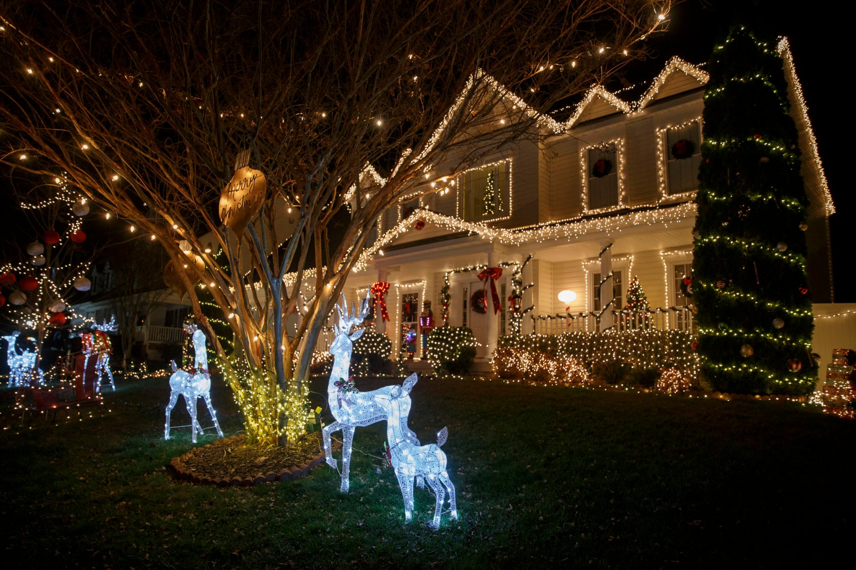 snowman christmas tree light and sound show