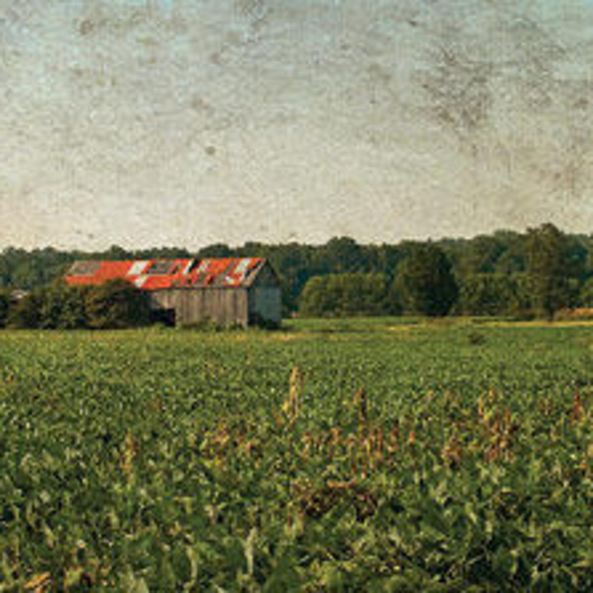 Spotsylvania S Slaughter Pen Farm Is Back In Business Lifestyles Fredericksburg Com